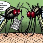 muggen klamboe