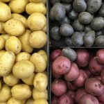 verschillende soorten aardappelen
