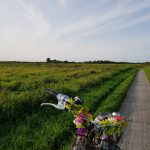 platteland groningen fiets