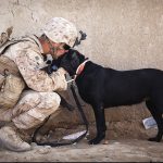 soldaat hond knuffelen