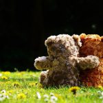 knuffelhormoon teddybeer