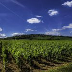 jaarwisseling bourgogne wijngebied blauwe lucht
