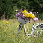 deprimaandag fietsen bloemen