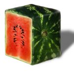 watermeloen vierkant