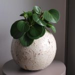 airco plant pot kleur oud