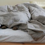 slaaphouding bed deken lui