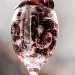 wijnfabel rood fles glas druiven