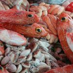 viswijf markt vis