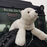 LRCH Kerstrit 2018 ijsbeer auto landrover