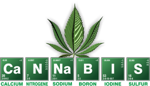 cannabis onkruid chemie